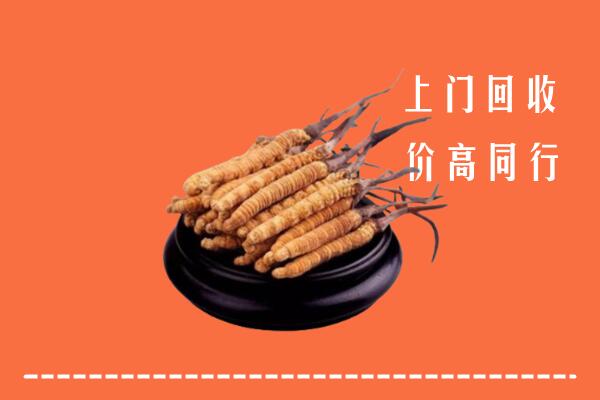 高价求购：营口市回收散虫草