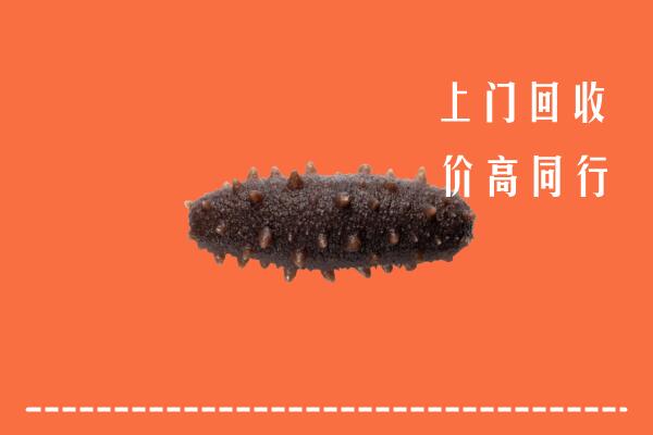 高价求购：营口市回收海参