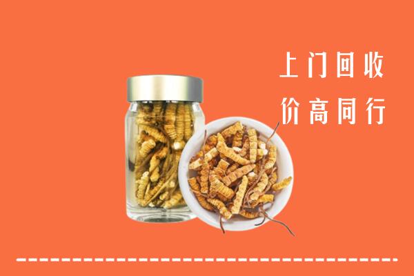 营口市回收冬虫夏草