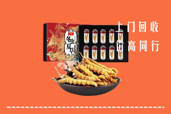 营口市回收虫草